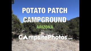 Potato Patch Campground, AZ