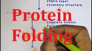 23. Protein folding, Chaperones & Enzymes | MBBS NEET CSIR NET