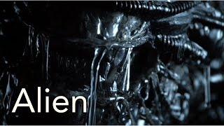 An Analysis: Alien