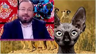 Кот Костян Напомним какие реформы планируют либерадрилы.