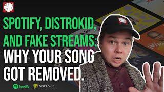 Spotify, Distrokid, and Fake Streams: Why Your Song Got Removed.