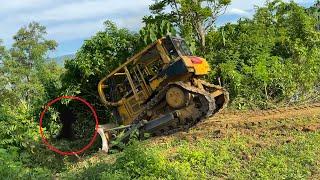 Very Extreme! CAT D6R XL Bulldozer Builds Abandoned and Steep Forest Road