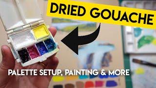 How to use DRIED gouache  palette setup, brand comparisons, & tips