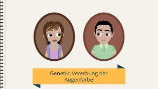 Genetik: Vererbung der Augenfarbe