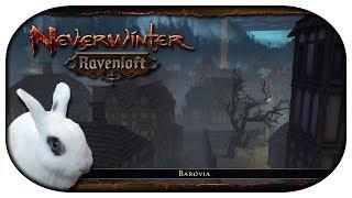 NEVERWINTER: Ravenloft  06 - Geister von Berez und der Ausspähstein von Barovia