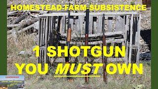 1 Homestead/Farm/Subsistence SHOTGUN You MUST OWN