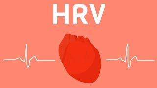 Everything You Should Know About Heart Rate Variability (HRV)
