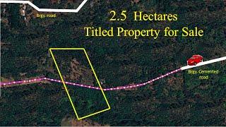 2.5 Hectares, Farm Lot for Sale (Prop# 182) BRGY. Pinagdanlayan, Dolores, Quezon