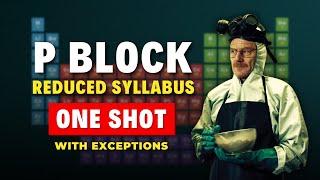 P Block in One Shot for JEE Mains 2024 | All Exceptions !
