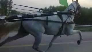 ARBAB KHAN HORSE RACE TRY PESHAWER