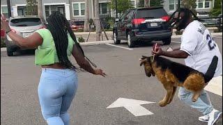 She tried to escape in heels from the Dog  Fake Dog Prank #prank