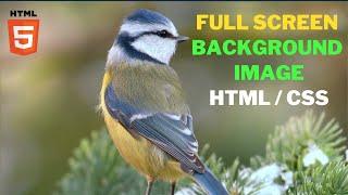 How to add background image in Html | No repeat | Full Screen