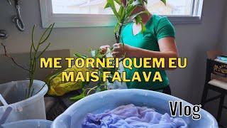 Queijadinha simples de fazer. Colocando amor no meu lar. Vlog