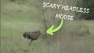 The Scariest Camping Moments Ever Caught on Camera | Most Mysterious Creatures | @MysteryMan1111