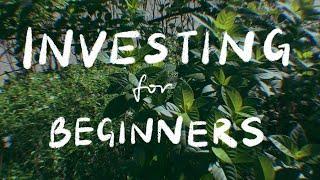  my noob guide to investing | what i learnt after investing for 5 years