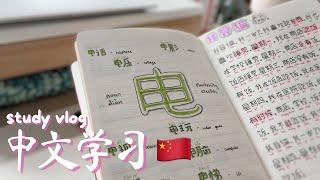 how to pass hsk 1  productive chinese study vlog + tips