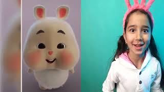 PocoEffects and Super Cute Fat Rabbit | Si embul kelinci lucu bikin ngakak Part.2