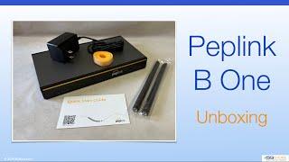 Peplink B One - Unboxing