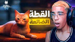 STRAY|القطة الضائعة