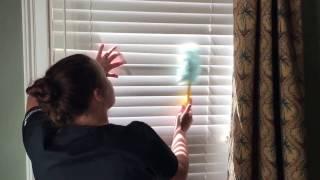 Dusting & Wet Wiping Window Blinds