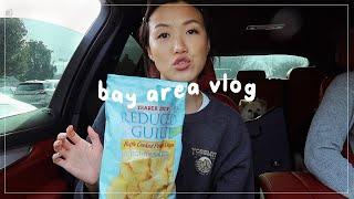 BAY AREA VLOG: Road trip to see people I've missed