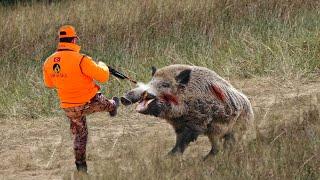 TOP 30 KILLING BLOWS! Best Wild Boar Hunts Compilation, Feral Hog Hunts