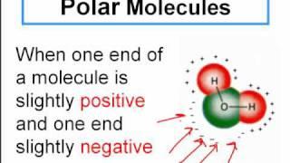 Polar and Non-Polar Covalent Molecules