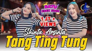 Shinta Arsinta - Tang Ting Tung - Goyang Esek-Esek (Official Music Video)