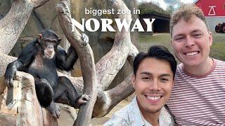 Life Update | Biggest Zoo in Norway | Jazper Angelo