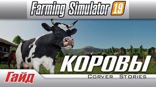 Farming Simulator 19.  Гайд по коровам