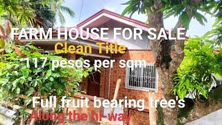 #V208 FARM LOT FOR SALE CLEAN TITLE W/ TWO (2) HOUSES ₱ 117 pesos per sqm & more fruit bearing trees