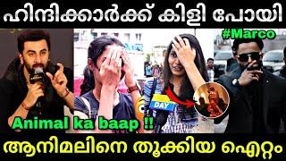 ആനിമലിനെ തൂക്കി മാർക്കോ... | Marco hindi review | Unni mukundan | Troll video | Lucy Boy Editz