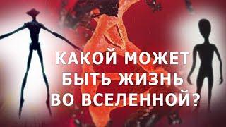 Какой может быть жизнь во Вселенной?