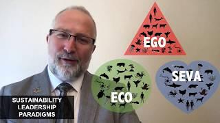 DR. TAVANTI - MNA CONCEPTS: WHAT SUSTAINABILITY LEADERSHIP PARADIGMS?