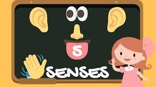 Five Senses