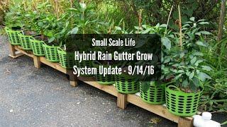 Hybrid Rain Gutter Grow System Update 9/14/16