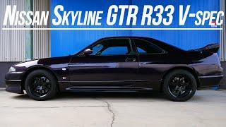 Nissan Skyline GTR R33 V spec JDM EXPO I JDM sport classic cars