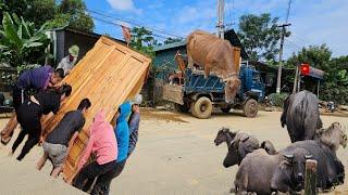 The driver and the girl were driving the truck People's belongings flooded by storms yagi.