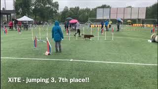 Agility by Night 2019 Luxemburg