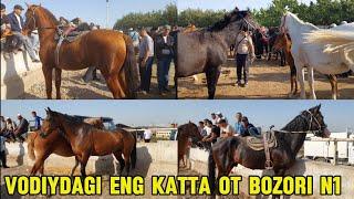 Shahidon ot bozori bugungi narhlar bilan tanishing 24.09.2024yil