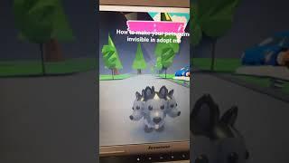 How to make your pets name invisible in adopt me roblox | #shorts |#youtubeshorts