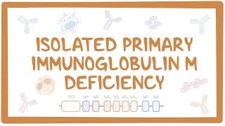 Isolated primary immunoglobulin M deficiency