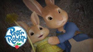 Peter Rabbit - The Wrong Rabbit Hole | Cartoons for Kids