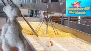 crustification bear puts garlic on cheese in the cheese factory/explodes factory/killed￼￼