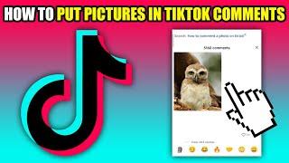 How To Put Pictures In TikTok Comments (2024)