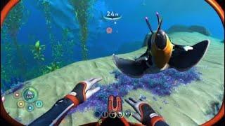 Subnautica: Below Zero Pinnicarid