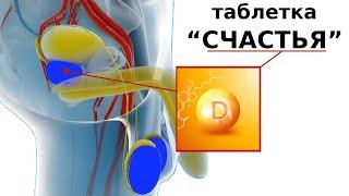 Как повысить потенцию натуральным способом БЕЗ Виагры и Тестостерона / D-гормон