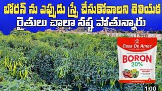 BORON USE IN CROP || Boron Benefits in crop || బోరాన్ యొక్క ఉపయోగాలు|| #బోరాన్ #boron use in telugu