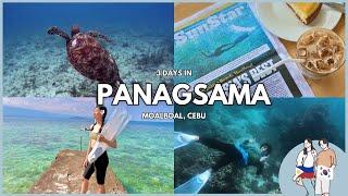 3 DAYS IN PANAGSAMA MOALBOAL CEBU, SEA TURTLES, SARDINE RUN | louandjosephvlogs