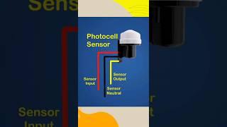 3 Wire Photocell Sensor #shorts #viralshorts2023 #photocell